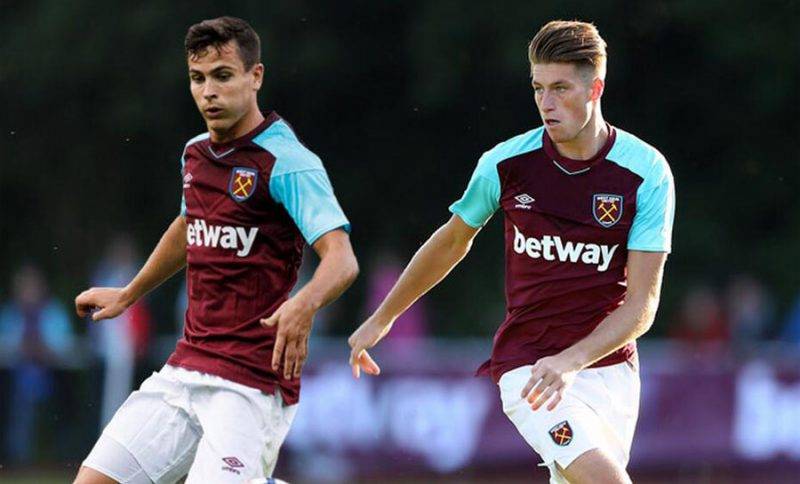 其他类似的 其他类似的